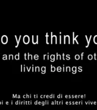 Copertina ma chi ti credi di essere